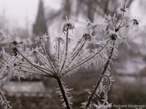 A Cambridge and Lichfield Winter - Photo 7
