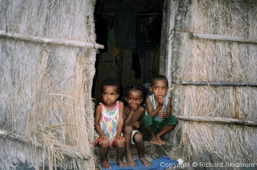 Fijian People - Photo 15