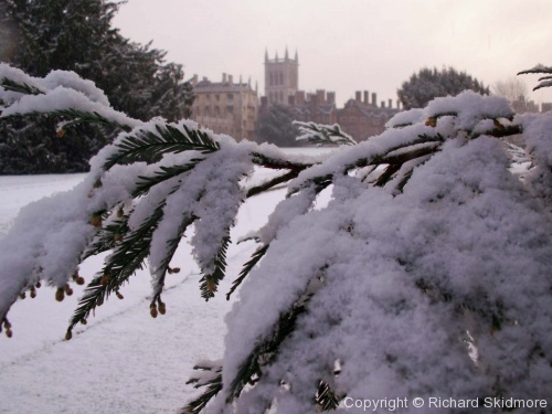 Cold Cambridge - Photo 28