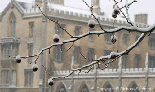 Cold Cambridge - Photo 10