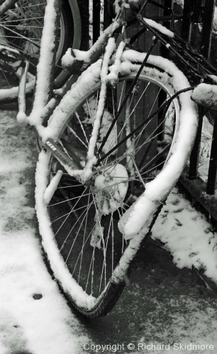 Cold Cambridge - Photo 22